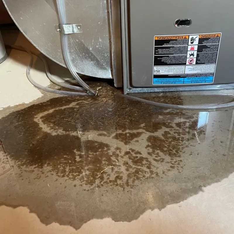 Pipe Burst and Leak Restoration in Salem, NH